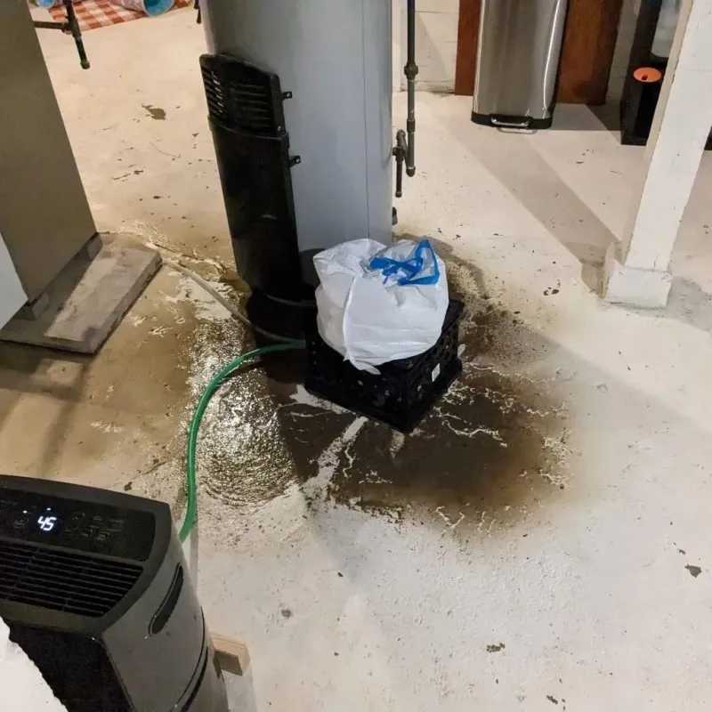 Sewage Backup Cleanup Service in Cle Elum, WA